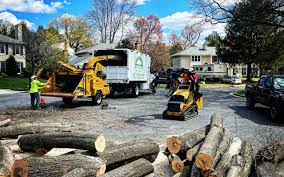 Best Hazardous Tree Removal  in Scotia, NY
