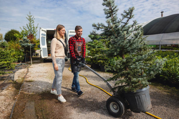  Scotia, NY Tree Services Pros